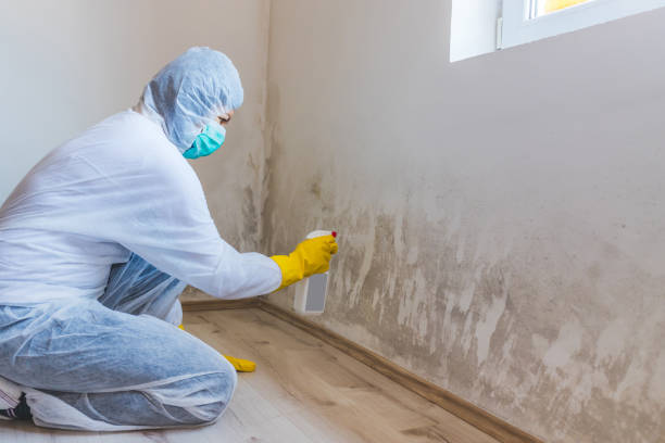 Mold Remediation specialist working in Haledon